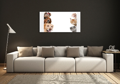Impresión en cristal con acabado brillante horizontal Perros y gatos