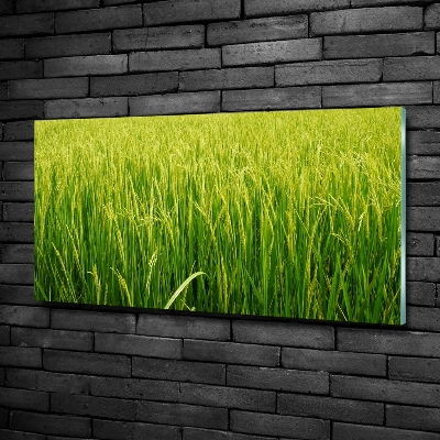 Foto en cristal de alta calidad con impresión uv horizontal Campo de arroz