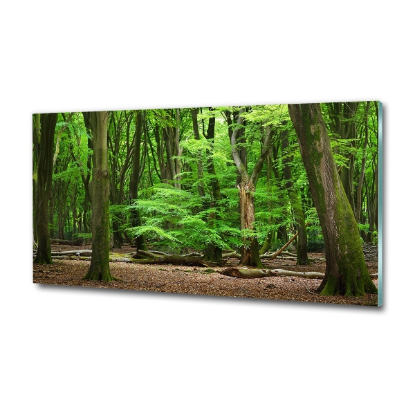 Cuadro decorativo de vidrio para salón horizontal bosque holandés