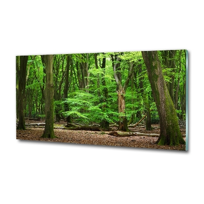 Cuadro decorativo de vidrio para salón horizontal bosque holandés