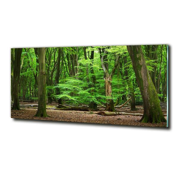 Cuadro decorativo de vidrio para salón horizontal bosque holandés