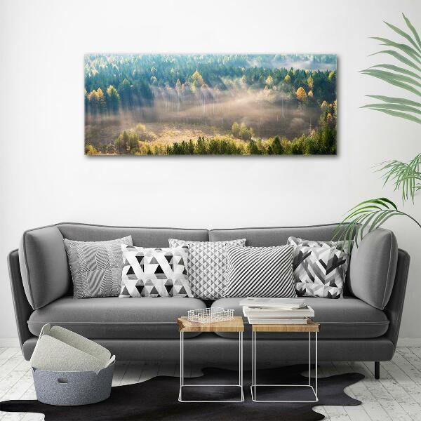 Cuadro de cristal templado moderno horizontal Niebla en el bosque