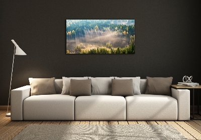 Foto obraz szkło hartowane Mgła w lesie