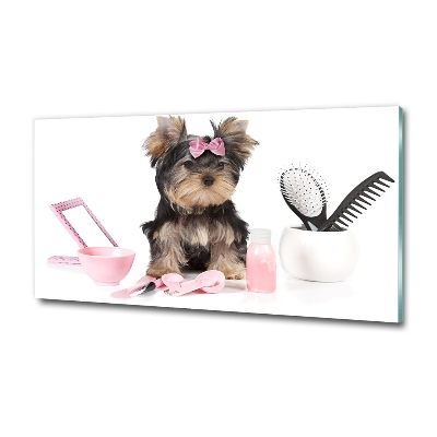 Foto en cristal de alta calidad con impresión uv horizontal Cosméticos de Yorkshire