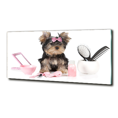 Foto en cristal de alta calidad con impresión uv horizontal Cosméticos de Yorkshire