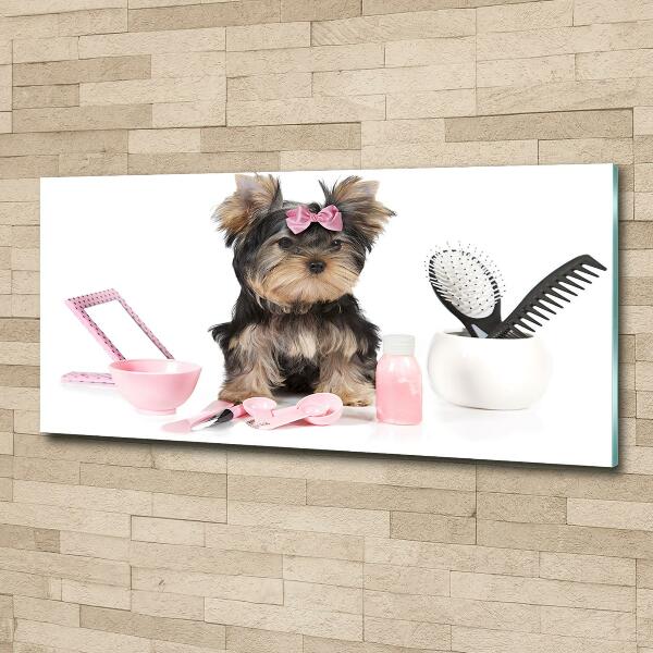 Foto en cristal de alta calidad con impresión uv horizontal Cosméticos de Yorkshire