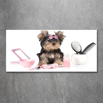 Foto en cristal de alta calidad con impresión uv horizontal Cosméticos de Yorkshire