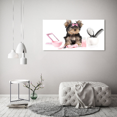 Foto-obraz szklany Yorkshire kosmetyka