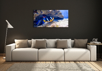 Impresión en cristal con acabado brillante horizontal Pez tropical