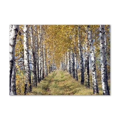Cuadro decorativo de vidrio para salón horizontal Abedules en otoño