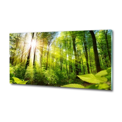 Cuadro de cristal templado moderno horizontal Bosque al sol