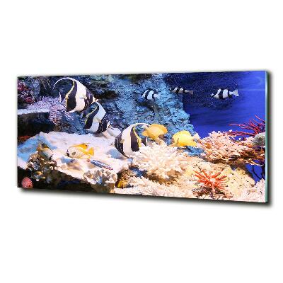 Cuadro decorativo de vidrio para salón horizontal Arrecife de coral