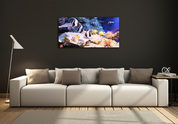 Cuadro decorativo de vidrio para salón horizontal Arrecife de coral