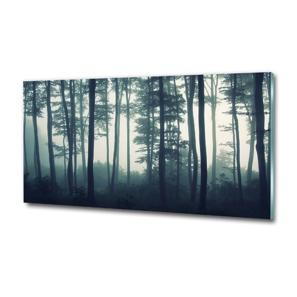 Cuadro decorativo de vidrio para salón horizontal Bosque en la niebla