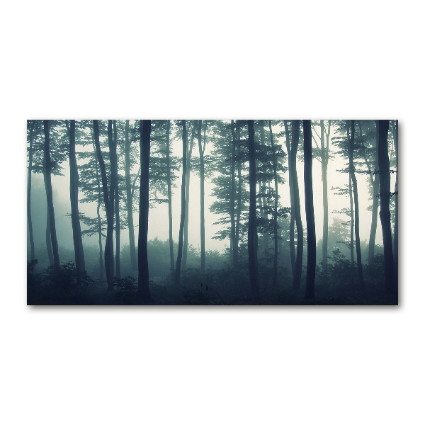 Cuadro decorativo de vidrio para salón horizontal Bosque en la niebla