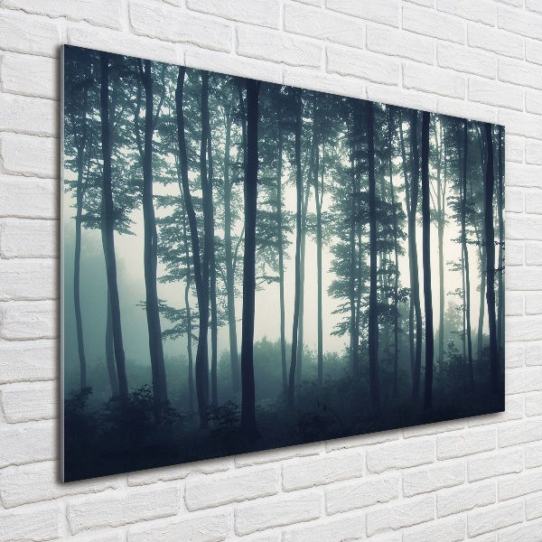 Cuadro decorativo de vidrio para salón horizontal Bosque en la niebla