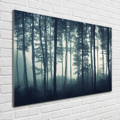 Cuadro decorativo de vidrio para salón horizontal Bosque en la niebla