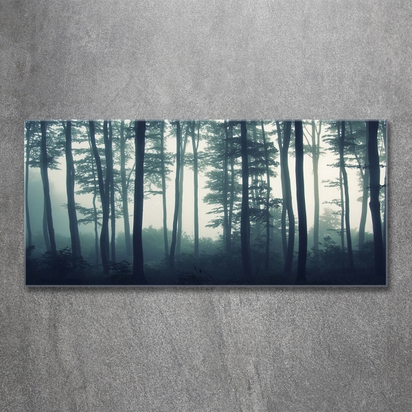 Cuadro decorativo de vidrio para salón horizontal Bosque en la niebla