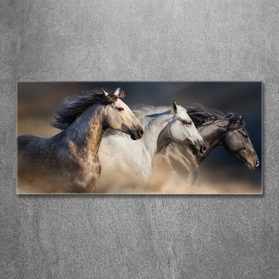 Foto en cristal de alta calidad con impresión uv horizontal Caballos al galope