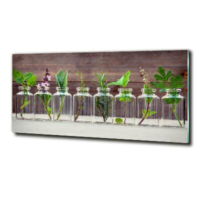Cuadro decorativo de vidrio para salón horizontal Plantas en frascos