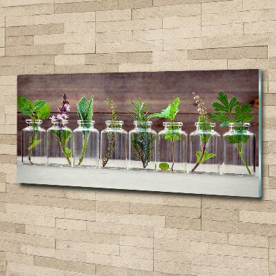 Cuadro decorativo de vidrio para salón horizontal Plantas en frascos