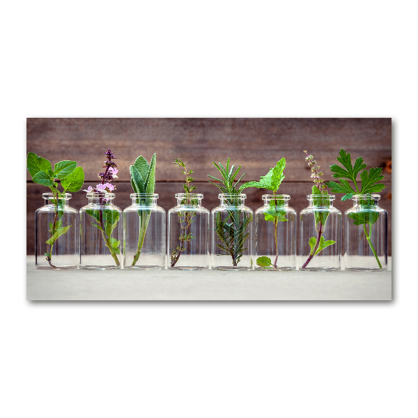 Cuadro decorativo de vidrio para salón horizontal Plantas en frascos