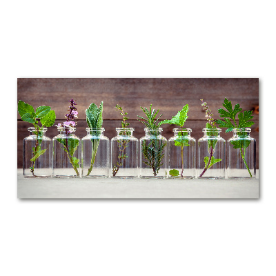 Cuadro decorativo de vidrio para salón horizontal Plantas en frascos