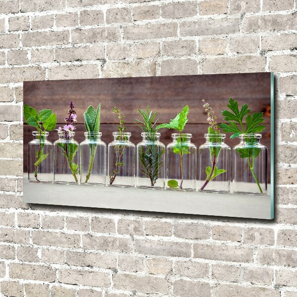 Cuadro decorativo de vidrio para salón horizontal Plantas en frascos
