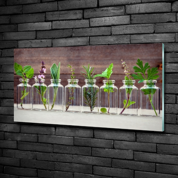 Cuadro decorativo de vidrio para salón horizontal Plantas en frascos