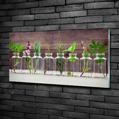 Cuadro decorativo de vidrio para salón horizontal Plantas en frascos