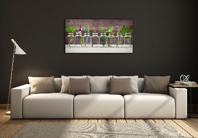 Cuadro decorativo de vidrio para salón horizontal Plantas en frascos