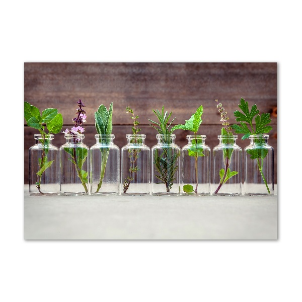 Cuadro decorativo de vidrio para salón horizontal Plantas en frascos