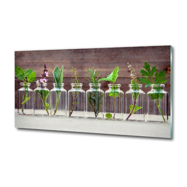 Cuadro decorativo de vidrio para salón horizontal Plantas en frascos