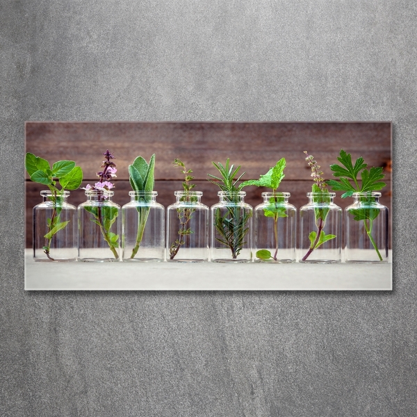 Cuadro decorativo de vidrio para salón horizontal Plantas en frascos
