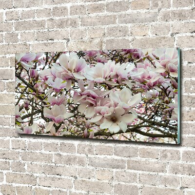 Foto en cristal de alta calidad con impresión uv horizontal flores de magnolia