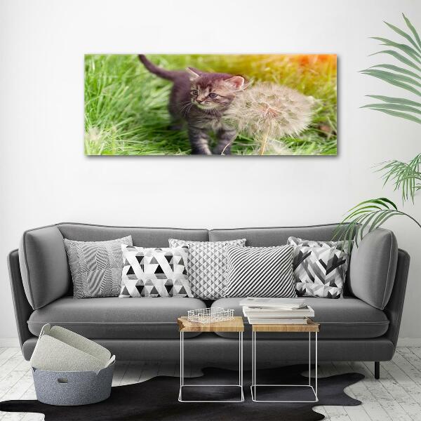 Cuadro decorativo de vidrio para salón horizontal Gatito con un diente de león