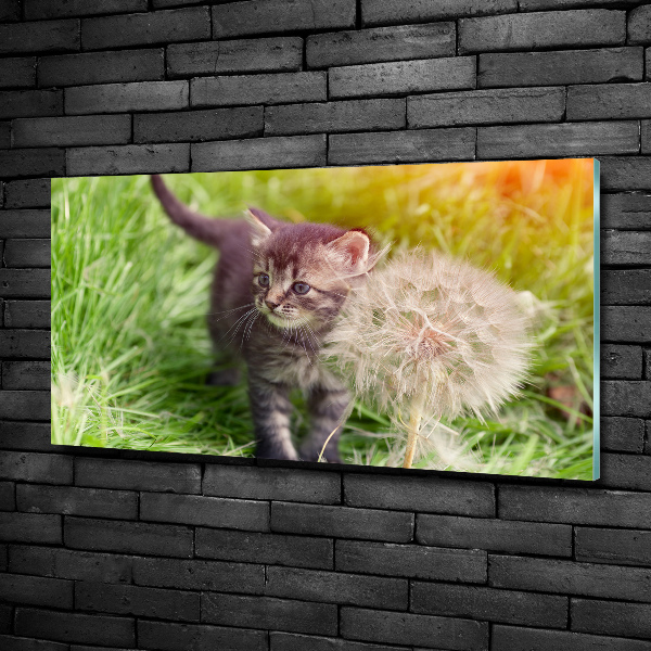 Cuadro decorativo de vidrio para salón horizontal Gatito con un diente de león