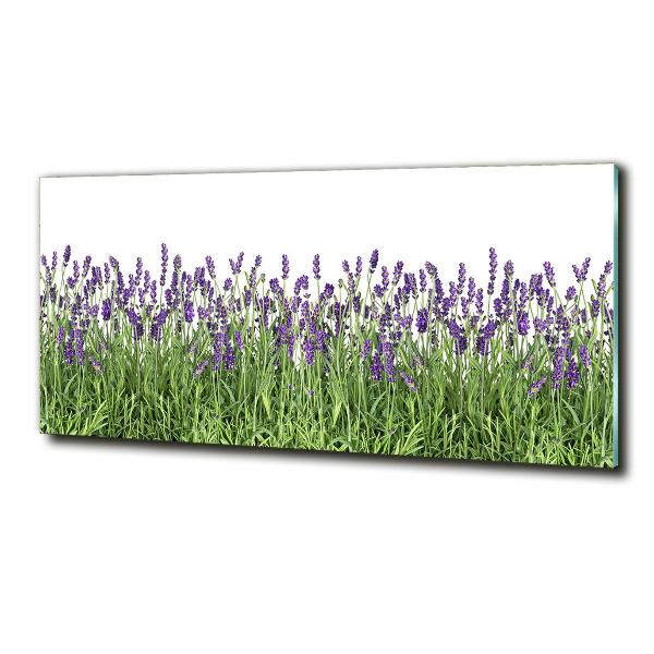 Foto en cristal de alta calidad con impresión uv horizontal flores de lavanda