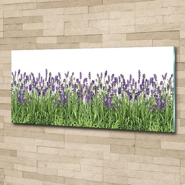 Foto en cristal de alta calidad con impresión uv horizontal flores de lavanda