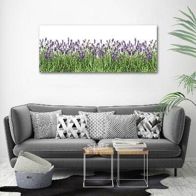 Foto en cristal de alta calidad con impresión uv horizontal flores de lavanda