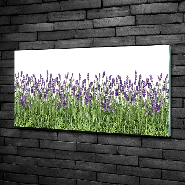 Foto en cristal de alta calidad con impresión uv horizontal flores de lavanda