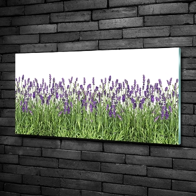 Foto en cristal de alta calidad con impresión uv horizontal flores de lavanda