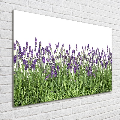 Foto en cristal de alta calidad con impresión uv horizontal flores de lavanda
