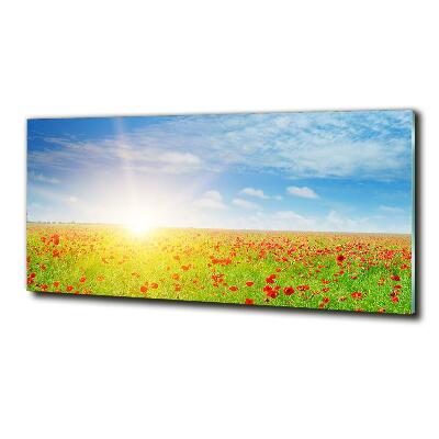 Cuadro decorativo de vidrio para salón horizontal Campo de amapolas