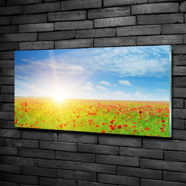 Cuadro decorativo de vidrio para salón horizontal Campo de amapolas