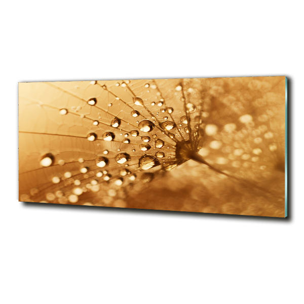 Cuadro de cristal templado moderno horizontal Diente de león