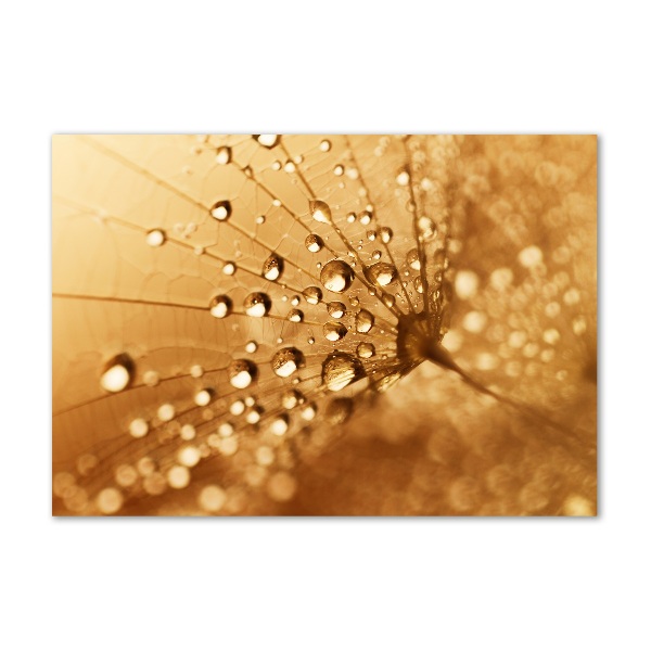 Cuadro de cristal templado moderno horizontal Diente de león