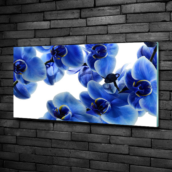 Cuadro decorativo de vidrio para salón horizontal Orquídea azul