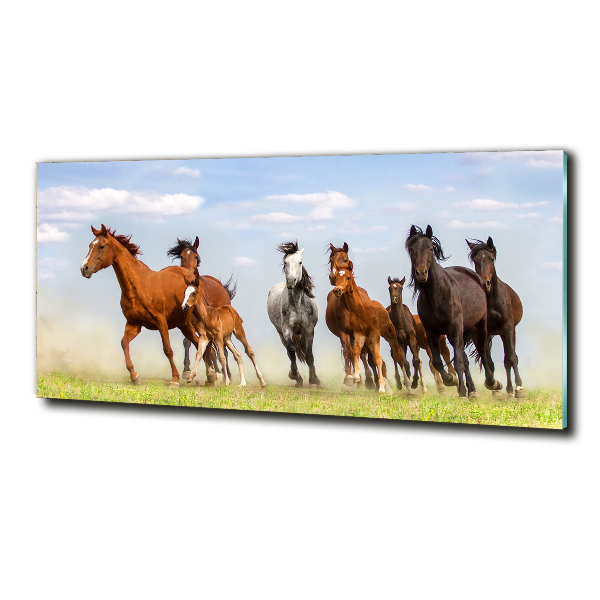 Foto en cristal de alta calidad con impresión uv horizontal Caballos al galope