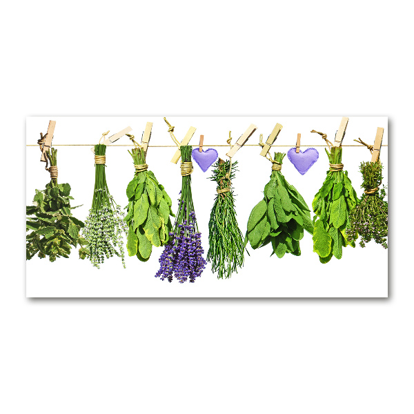 Cuadro de cristal templado moderno horizontal Hierbas en una cuerda